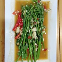 ยอดมะระไฟแดง