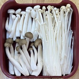 เห็ดรวม