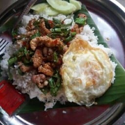 ต.ก๋วยเตี๋ยวไกมะระ&กระเพา