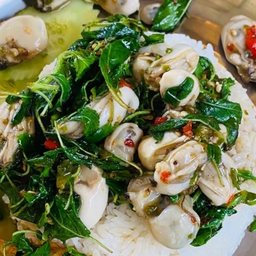 ข้าวกระเพราหอยนางรม