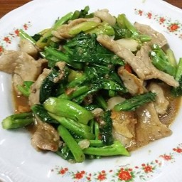 ผัดคะน้าหมูชิ้นราดข้าว