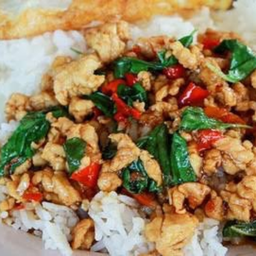 ข้าวกะเพราไก่