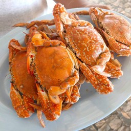 ปูม้านึ่ง ปูสด ๆ แนะนำให้สอบถามทางร้านก่อน เพราะบางวันก็ไม่มี 