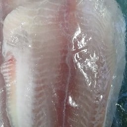 ปลาดอลลี่