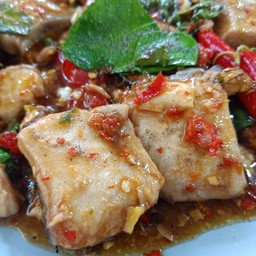 ผัดฉ่าปลาฉลาม นาน ๆ ทีได้กิน เนื้อคล้าย ๆ ไก่ โดยรวมโอเค 