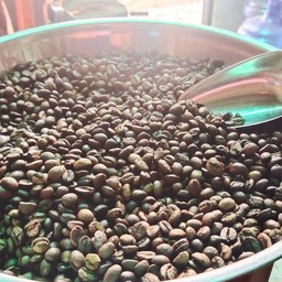 เมล็ดกาแฟโรบัสต้าคั่วใหม่