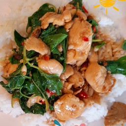 ผัดกะเพราไก่ราดข้าว
