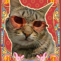 กะเพราพ่อบ้าน