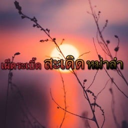 เผ็ดระเบิ้ด สะเดิด หม่าล่า