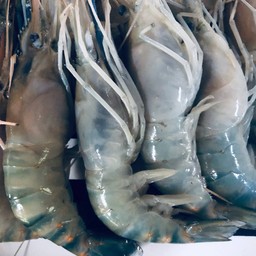 กุ้งนึ่งน้ำปลา พร้อมน้ำจิ้มแซ่บๆๆ