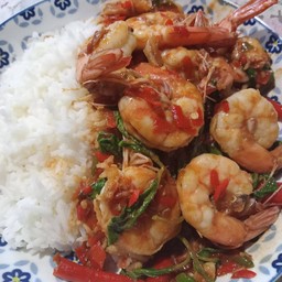 ก.กะเพรา