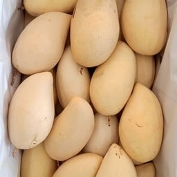 มะม่วงน้ำดอกไม้ บุญศิริ ตลาดไท