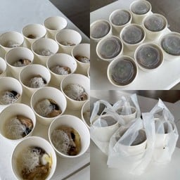 ชุดชามกระดาษ (พร้อมทาน)