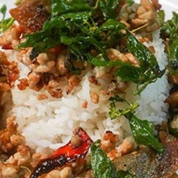 กะเพราไข่เยี่ยวม้า