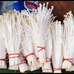 เห็ดเข็มทอง