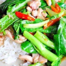 ร้านผึ้งc4