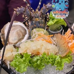 กุ้งมังกร 7 สี size XL