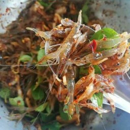 เฮ้ย...กุ้งเต้น(สันกลาง)