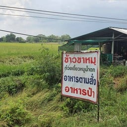อาหารตามสั่ง ริมถนนลำลูกกา 11