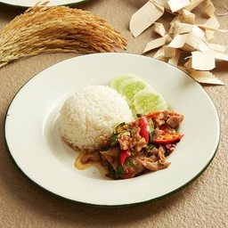 ข้าวราดกระเพราปลาหมึก