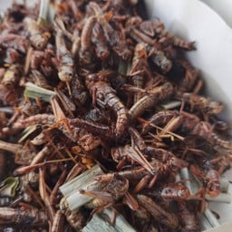 ตั๊กแตนทอด