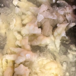 ขาไก่เล็บมือนาง