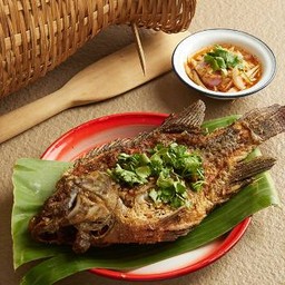 ปลานิลทอดน้ำปลา น้ำยำมะม่วง