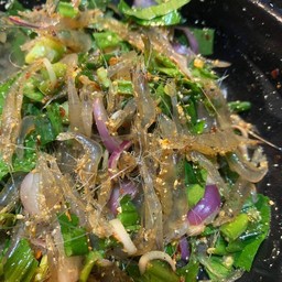 ตี๋เล็กกุ้งเต้น โคโยตี้ เทศบาล 8