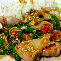 กะเพราไส้อ่อนราดข้าว