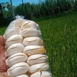 🤷ชายเตอร์ ลูกตาลลอยแก้ว🤷 พัทลุง