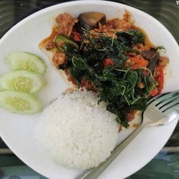 ข้าวราดกระเพราหมูสับไข่เยี่ยวม้าทอดกรอบ เมนูแนะนำ