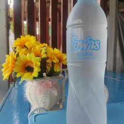 น้ำเปล่า