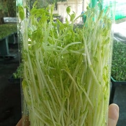 บิลลี่ ออร์แกนิกส์