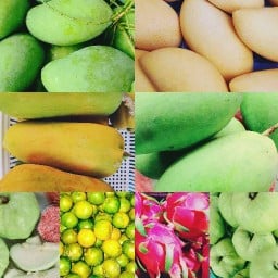 ผลไม้เมืองสมุทรสงคราม -