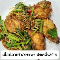 เนื้อปลาเก๋า ผัดคื่นช่าย