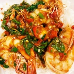 ผัดกะเพรากุ้ง