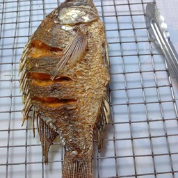 ปลานิลทอด M