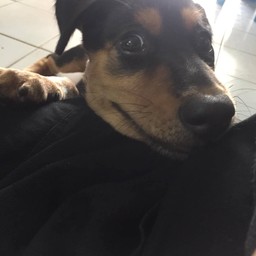 ทิปน้อนกาแฟยิ้มจริงใจ