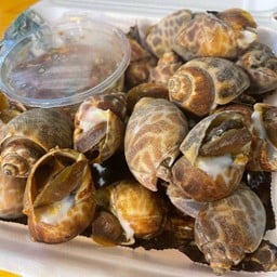 หอยหวาน