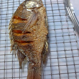 ปลานิลทอด L