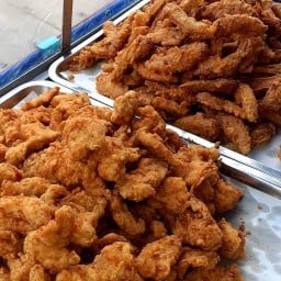 ไก่เขย่า น้องโปเต้ บ้านเอื้ออาทรนาจอมเทียน