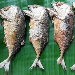 ปลาทูทอดน้ำมันมะกอก