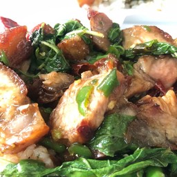 กะเพราหมูกรอบ ราดข้าว