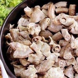 Intestines