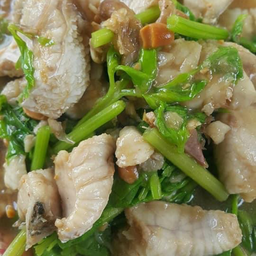 เนื้อปลาผัดคื่นช่าย