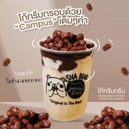 SHA BEAR นมหมีล้วนๆ - บ้านอำเภอ