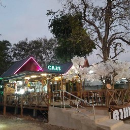 แคร์คาเฟ่
