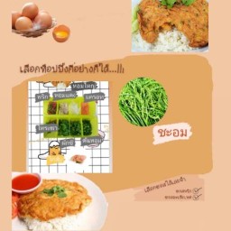 ไข่เจียวทรงเครื่องลุมพินีเซ็นเตอร์ แฮปปี้แลนด์สาย1