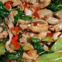 กระเพราไก่ ราดข้าว