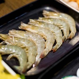 กุ้งขาว